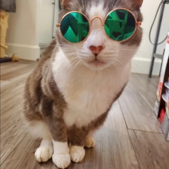 2 pair for $15 Kitty sunglasses - Picture 3 of 16